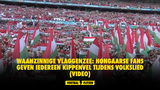 Waanzinnige vlaggenzee: Hongaarse fans geven iedereen kippenvel tijdens volkslied (VIDEO)