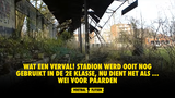 Wat een verval! Stadion werd ooit nog gebruikt in de 2e Klasse, nu dient het als ... wei voor paarden