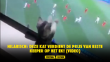 Hilarisch: Deze kat verdient de prijs van beste keeper op het EK! (VIDEO)