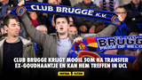 Club Brugge krijgt mooie som na transfer ex-goudhaantje en kan hem straks treffen in UCL